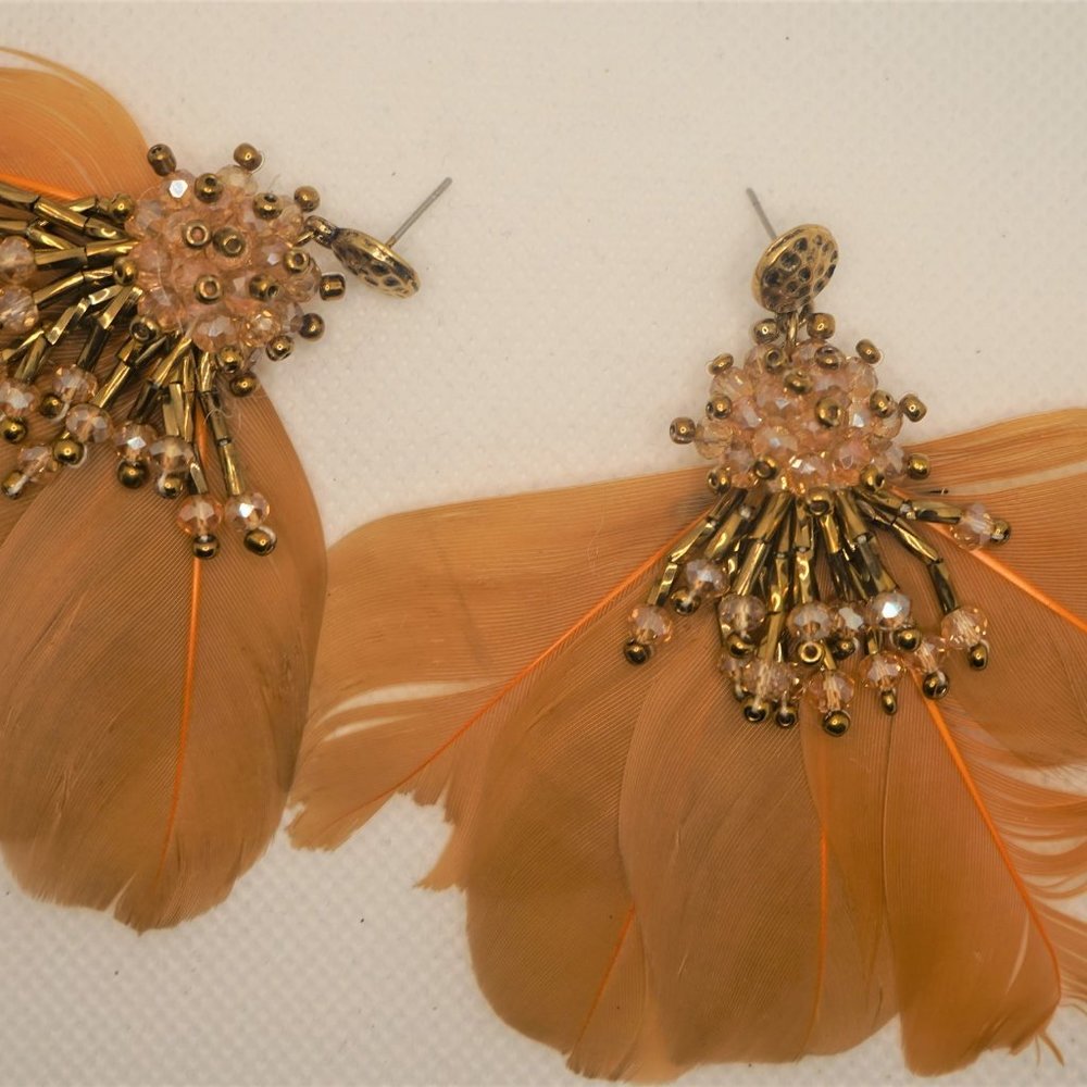 Fancy Feathers - Picture 2 of 5